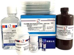 Tris-醋酸-SDS-PAGE電泳試劑盒（變性電泳，含預(yù)制膠）
