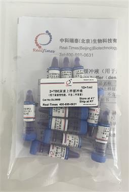 2×TBE尿素上樣緩沖液（用于尿素變性膠，不含二甲苯菁）