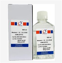 Western一抗二抗去除液（弱堿，溫和型）